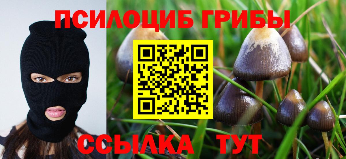 Галлюциногенные грибы ЛСД  Галлюциногенные грибы GOLDEN TEACHER  где найти   Вход с VPN  Сердобск 